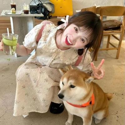 机械陪伴